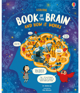 Usborne Book of the Brain and How it Works Dr Betina Ip